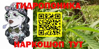 ПСИЛОЦИБИНОВЫЕ ГРИБЫ Ярославль