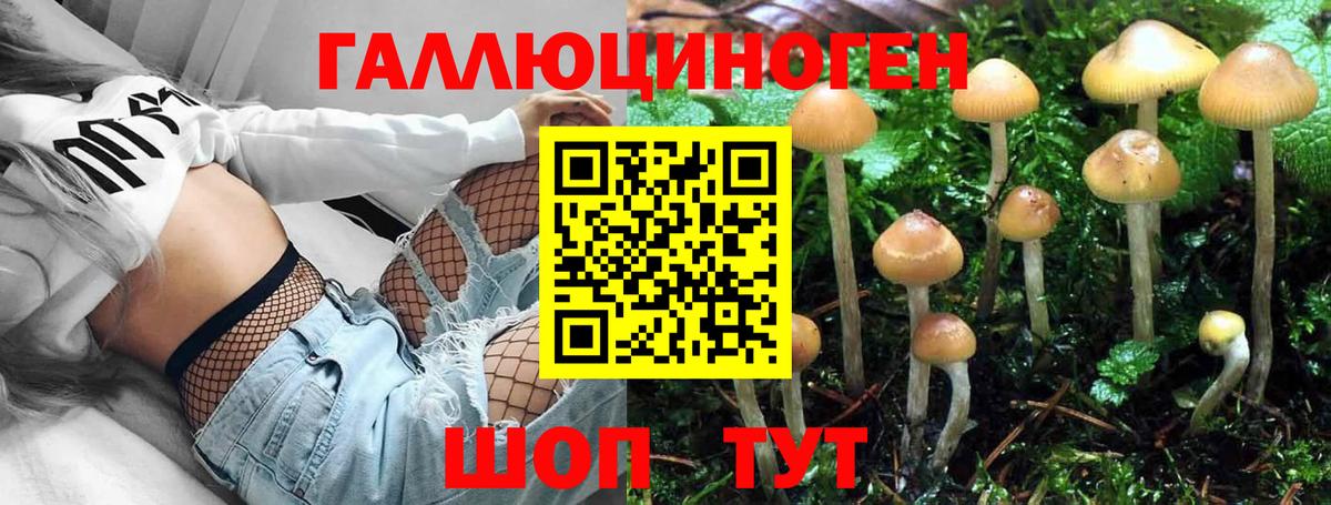 Псилоцибиновые грибы Psilocybe Златоуст