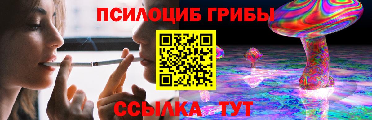 Псилоцибиновые грибы Cubensis  Вход с VPN  Златоуст  где продают   Псилоцибиновые грибы GOLDEN TEACHER 